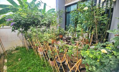 Nordic Style Single House for Sale, Nong Khae – Saraburi  Land size 42.5 sq.wah, usable area 120 sq.m.