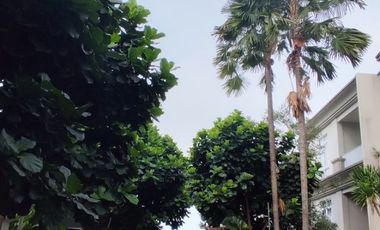 Rumah Mewah Murah di Pejaten Jakarta Selatan dekat Kemang & Sekolah Internasional Tol TB Simatupang