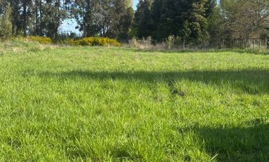 VENDO PARCELA EN NEGRETE, PARCELACIÓN ESPERANZA CAMPESINA