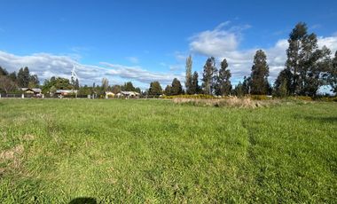 VENDO PARCELA EN NEGRETE, PARCELACIÓN ESPERANZA CAMPESINA