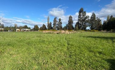 VENDO PARCELA EN NEGRETE, PARCELACIÓN ESPERANZA CAMPESINA