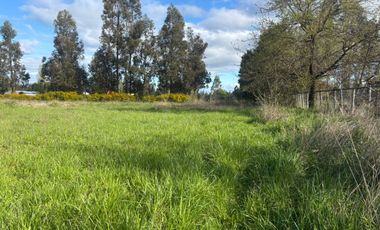 VENDO PARCELA EN NEGRETE, PARCELACIÓN ESPERANZA CAMPESINA