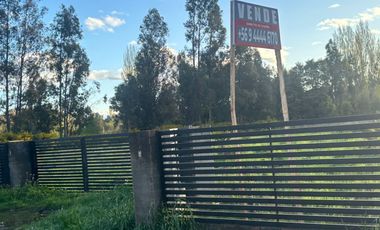 VENDO PARCELA EN NEGRETE, PARCELACIÓN ESPERANZA CAMPESINA