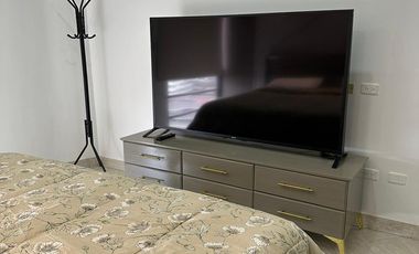 ALQUILO SUITE AMOBLADA CERCA DEL PARQUE EMPRESARIAL COLÓN.