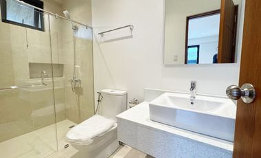 Elegant Brand New House and Lot for Sale in Lindenwood Residences, Muntinlupa City