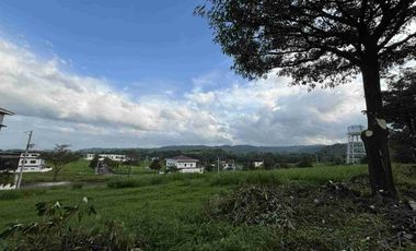 Residential Lot for sale in Alviera, Porac, Pampanga