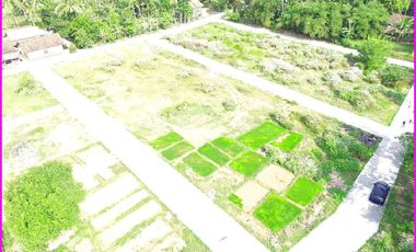 Kulon Progo, Rumah Jogja 1 Lantai Dekat Pantai Glagah