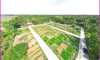 Kulon Progo, Rumah Jogja 1 Lantai Dekat Pantai Glagah