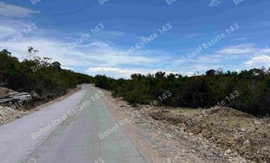 Good Investment Overlooking Property in Baclayon