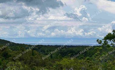 Good Investment Overlooking Property in Baclayon