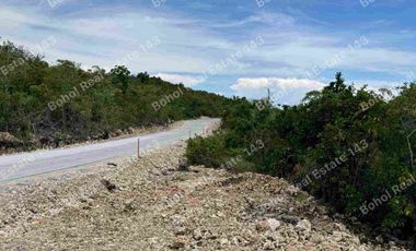 Good Investment Overlooking Property in Baclayon