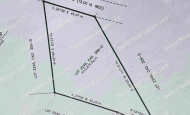 Good Investment Overlooking Property in Baclayon