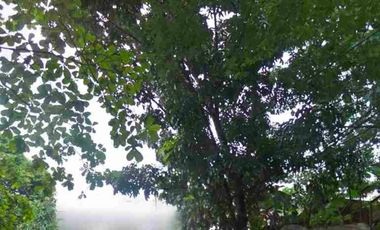 Disewakan Lahan Kosong di Cimanggis Depok