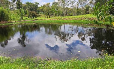 PARCELA MESA SANTOS  DE 2500 METROS CERCA PEAJE CONJUNTO