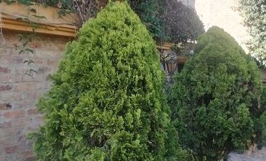 VENDO CASA EN EL CENTRO DE TUNJA