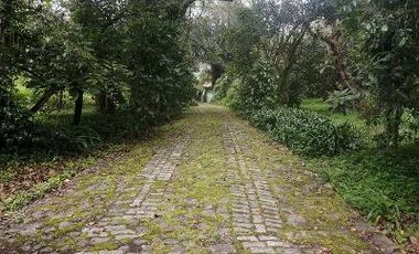 VENTA DE CASA EN TEMASCALTEPEC, ESTADO DE MÉXICO