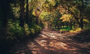 VENTA DE CASA EN TEMASCALTEPEC, ESTADO DE MÉXICO