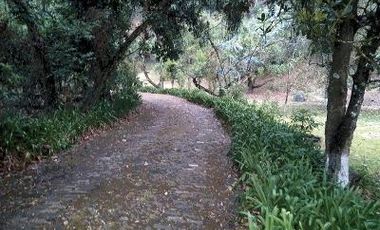 VENTA DE CASA EN TEMASCALTEPEC, ESTADO DE MÉXICO