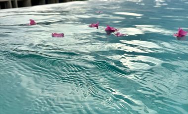 Chic 1BR Apartment for Rent at Studio One: Modern Luxury & Prime Location