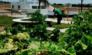 Venta de Terreno Premium en Condominio Flamencos – Huacho 🌊