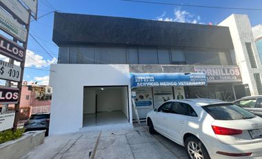 ✨📢 ¡Tu negocio en la mejor ubicación de Querétaro! ✨