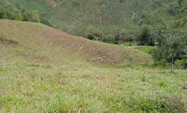 Finca en venta en Maceo