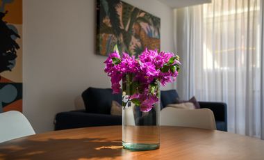 ¡MARAVILLOSO DEPARTAMENTO DE 2 HABITACIONES EN LA 5TA AV.! UNA OPORTUNIDAD INIGUALABLE