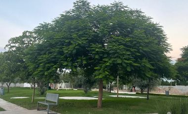 PRE VENTA DE CASA EN RESIDENCIAL MONTEBELLO