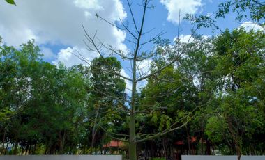 Casa en Venta en Andria, Poligono Sur, Cancún, Santa Fe