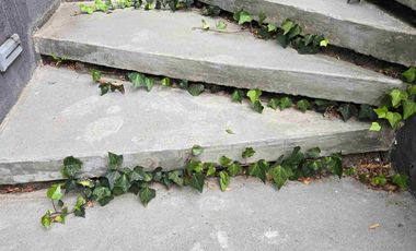 RENTO ESPECTACULAR CASA