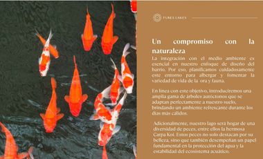 Venta - Lotes Funes Lake - Funes