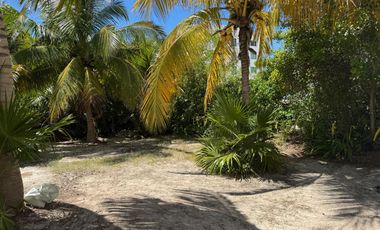 Casa de tres recámaras en renta, en Chicxulub Puerto