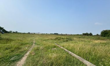 Commercial land for sale in East Serang, Banten. Very strategic location because it is close to the toll road & right on the side of the road