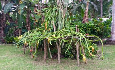 2-Story Beach House For sale in Camotes Island Cebu
