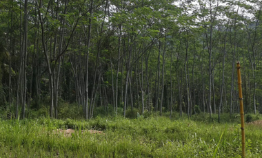 DIJUAL KAVLING STRATEGIS DEKAT KOTA BARU PARAHYANGAN CITATAH, PADALARANG