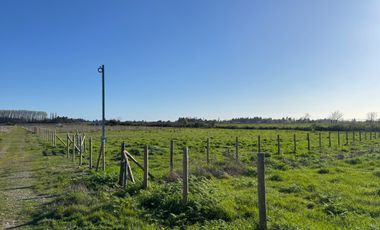 Parcela 5000M2 sector de Paso Alejo km 10 camino a Coihueco Chillán