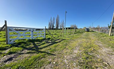 Parcela 5000M2 sector de Paso Alejo km 10 camino a Coihueco Chillán