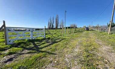Parcela 5000M2 sector de Paso Alejo km 10 camino a Coihueco Chillán