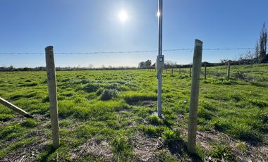 Parcela 5000M2 sector de Paso Alejo km 10 camino a Coihueco Chillán