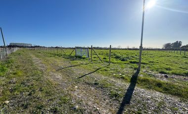 Parcela 5000M2 sector de Paso Alejo km 10 camino a Coihueco Chillán
