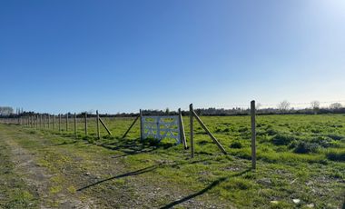 Parcela 5000M2 sector de Paso Alejo km 10 camino a Coihueco Chillán