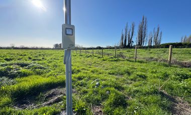 Parcela 5000M2 sector de Paso Alejo km 10 camino a Coihueco Chillán