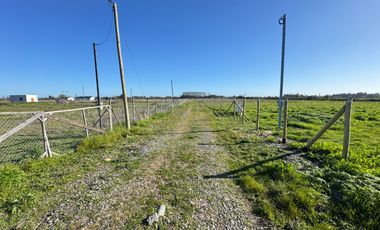 Parcela 5000M2 sector de Paso Alejo km 10 camino a Coihueco Chillán