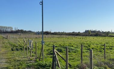 Parcela 5000M2 sector de Paso Alejo km 10 camino a Coihueco Chillán