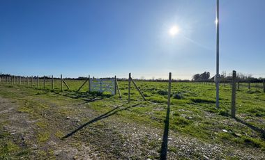 Parcela 5000M2 sector de Paso Alejo km 10 camino a Coihueco Chillán