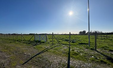 Parcela 5000M2 sector de Paso Alejo km 10 camino a Coihueco Chillán