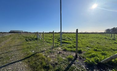 Parcela 5000M2 sector de Paso Alejo km 10 camino a Coihueco Chillán