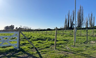 Parcela 5000M2 sector de Paso Alejo km 10 camino a Coihueco Chillán