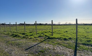 Parcela 5000M2 sector de Paso Alejo km 10 camino a Coihueco Chillán
