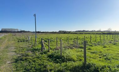 Parcela 5000M2 sector de Paso Alejo km 10 camino a Coihueco Chillán